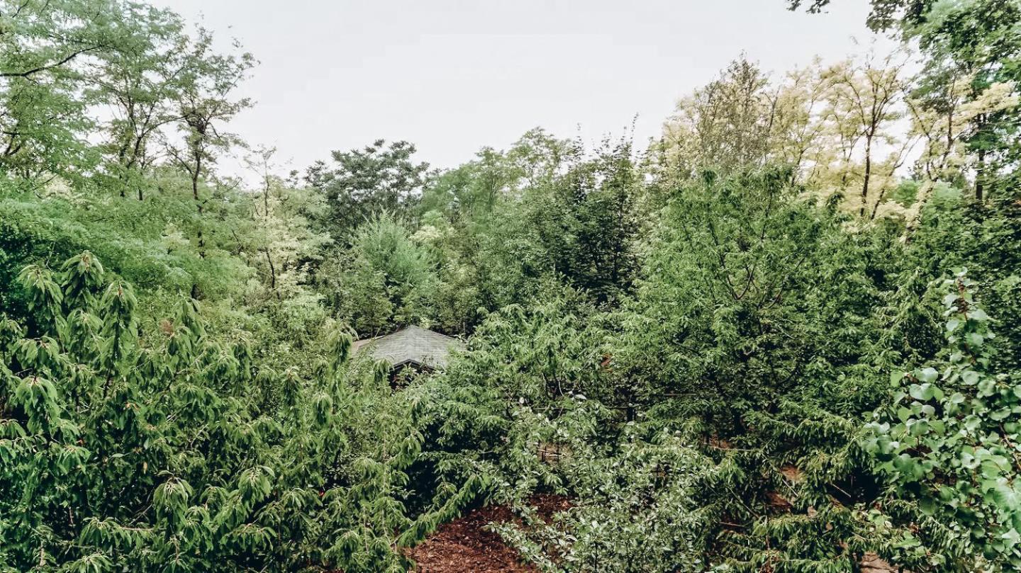 White Valley Entire Guest House Next To Forest Chisinau Exterior foto